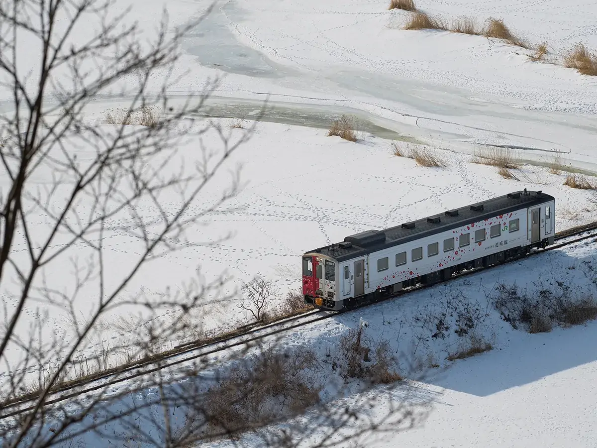 花咲線ラッピングトレイン01
