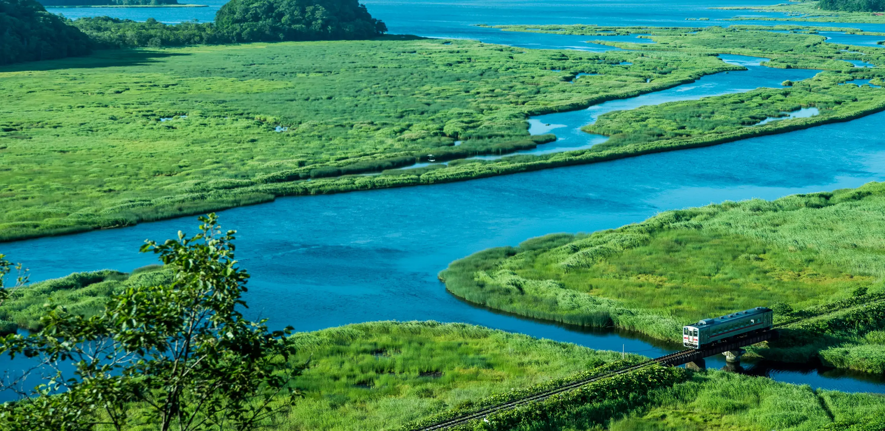 別寒辺牛湿原_花咲線01