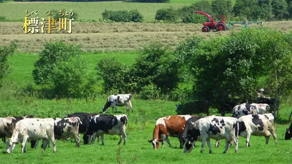 標津町みどころ30選