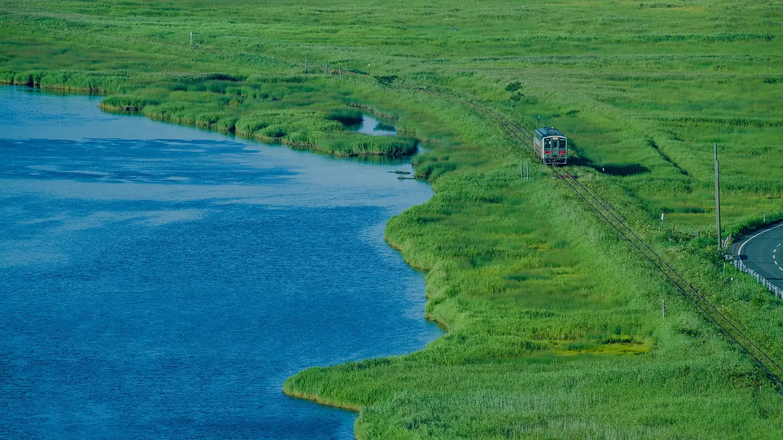 別寒辺牛湿原_花咲線