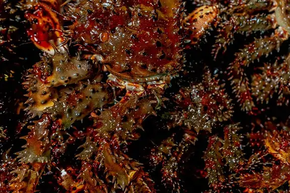 花咲灯台_昆布盛漁港