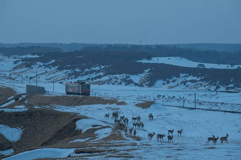 根室市　落石海岸