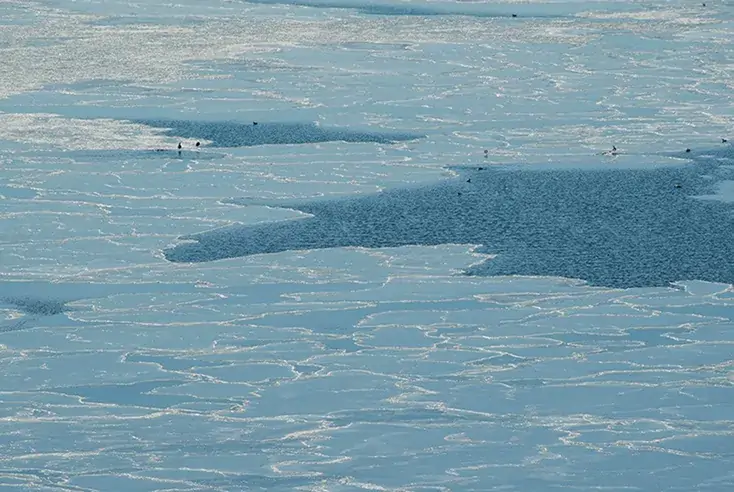 根室市　落石漁港