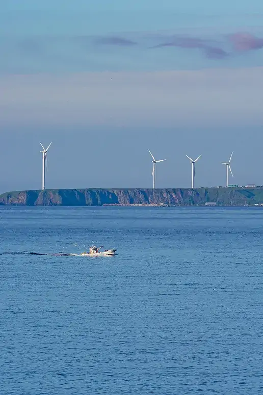 別寒辺牛湿原_花咲線