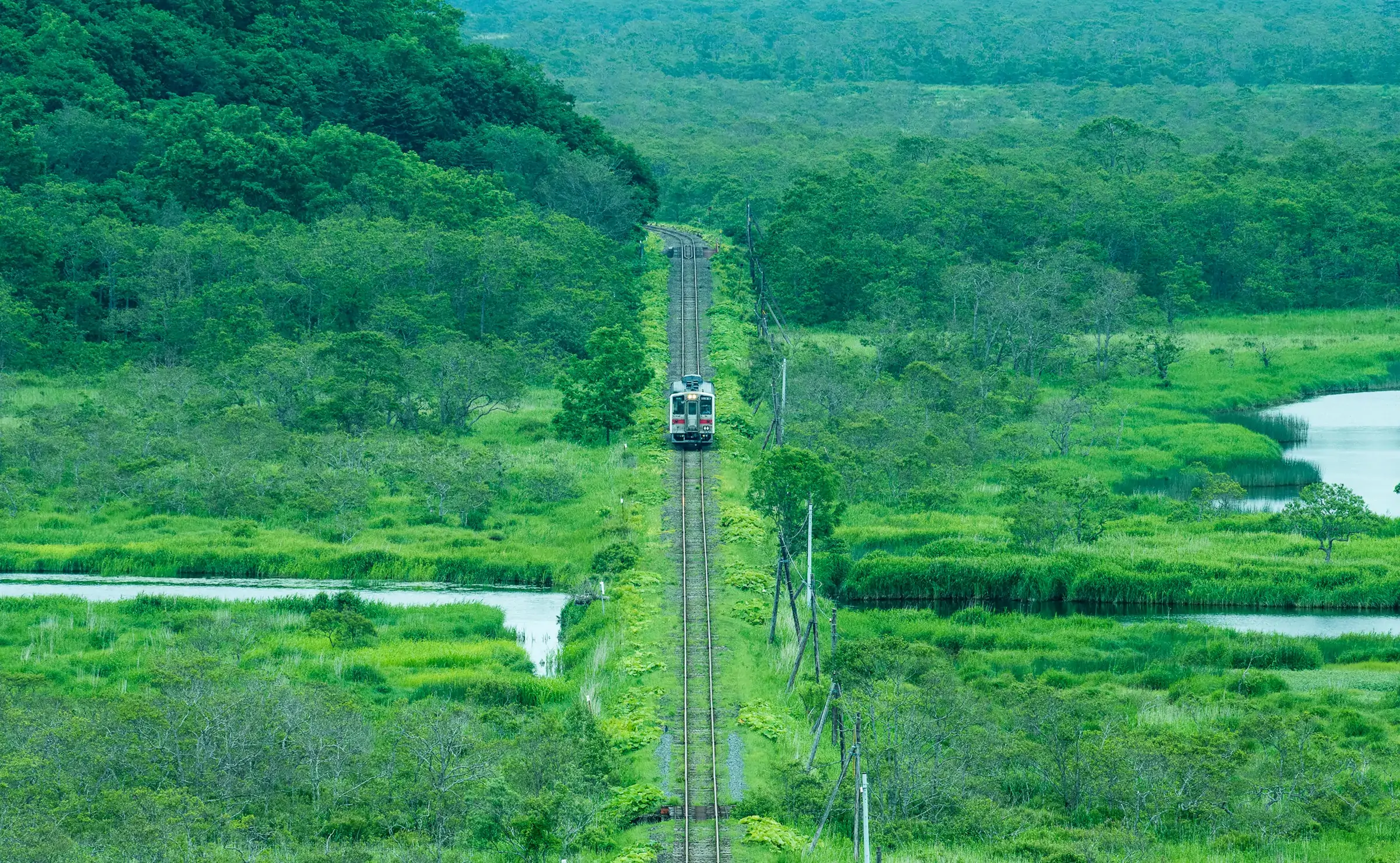 別寒辺牛湿原_花咲線