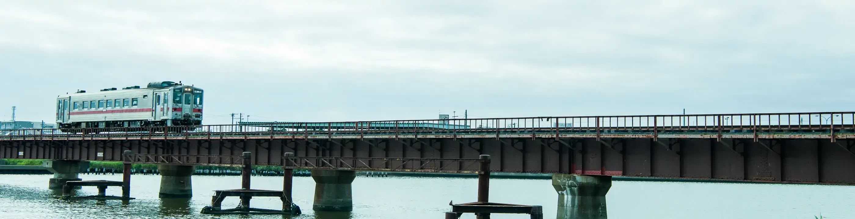 花咲線ラッピングトレイン