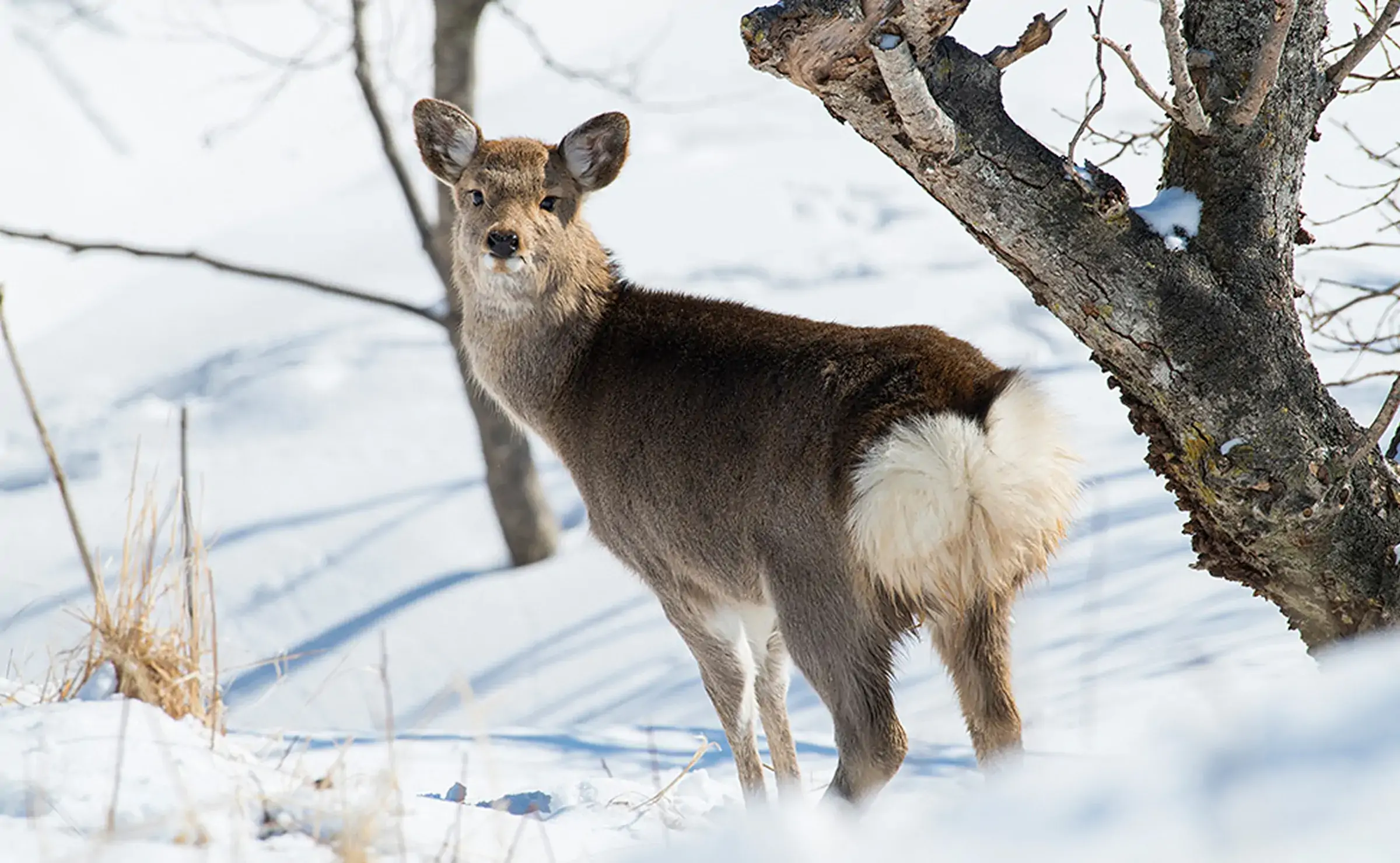 根室市　昆布盛駅周辺
