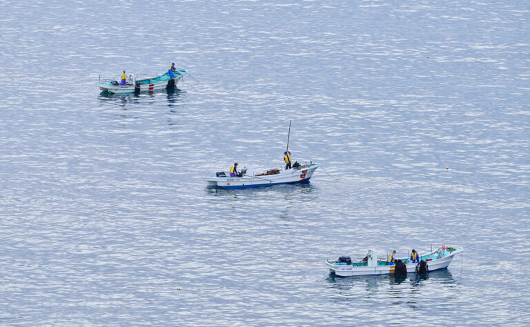 アゼチ岬_昆布漁