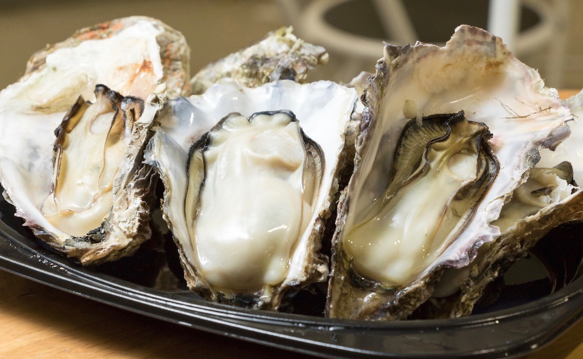 待ちきれない！だから、その場でいただきます