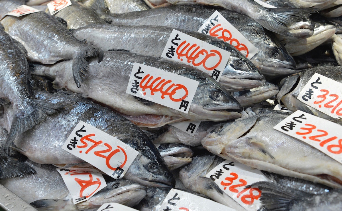 どれも新鮮で高品質。根室の老舗が手がけた鮮魚の専門市場