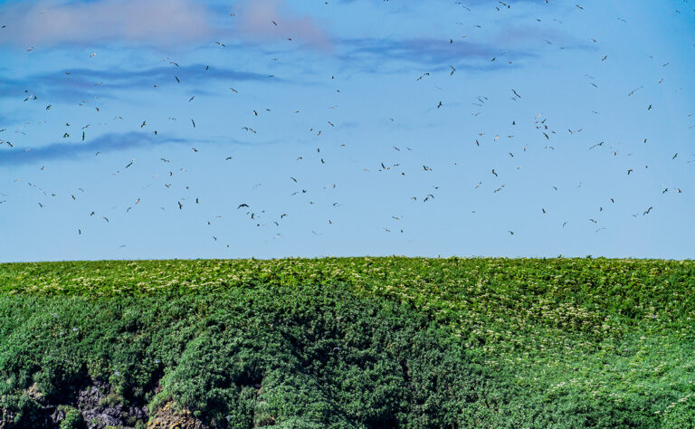落石沖_ユルリ島
