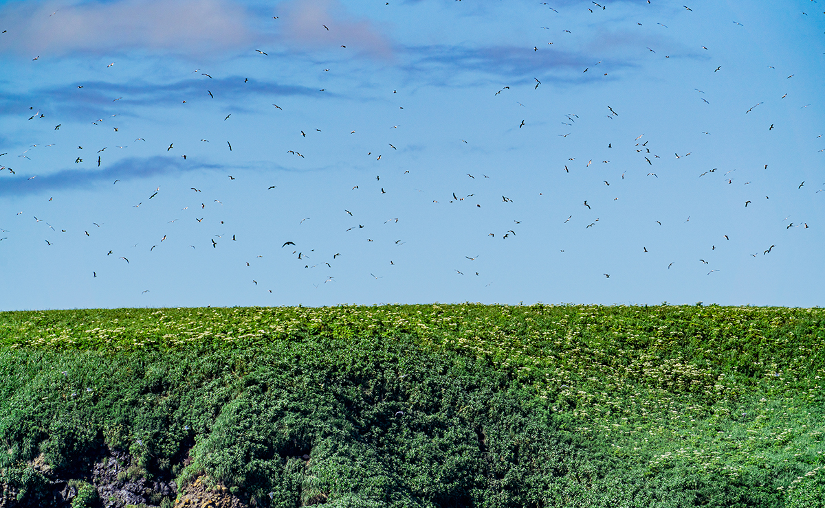 落石沖_ユルリ島