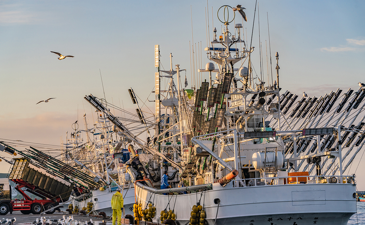花咲港_サンマ漁船