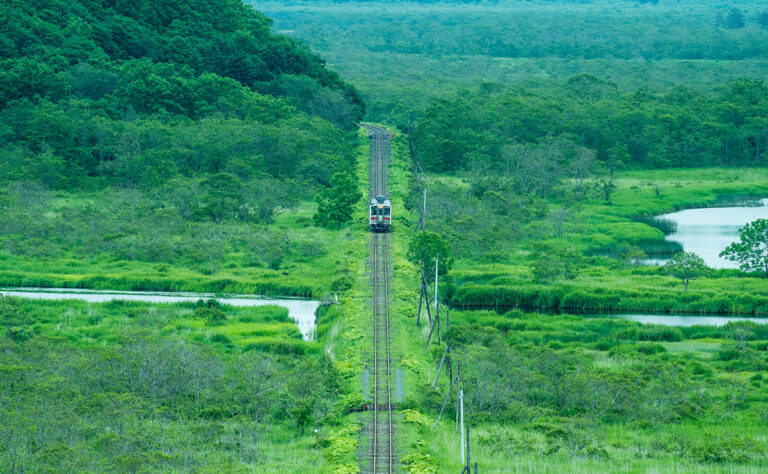別寒辺牛湿原_花咲線