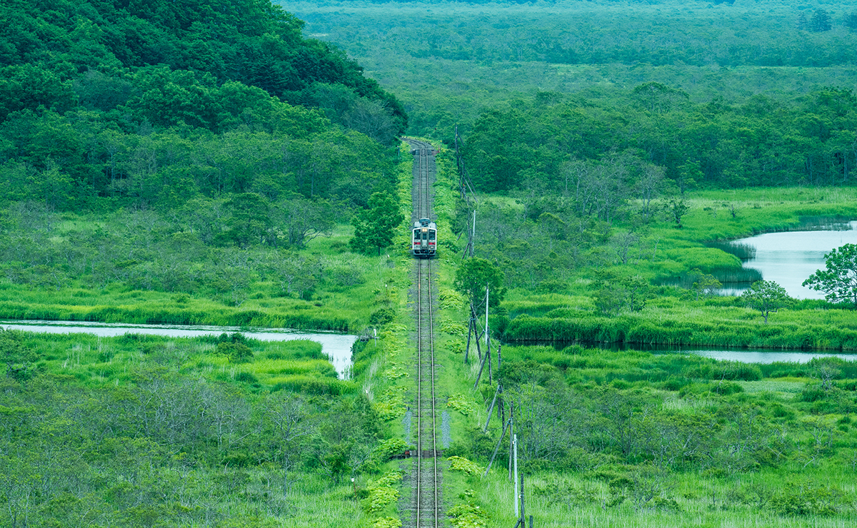 別寒辺牛湿原_花咲線
