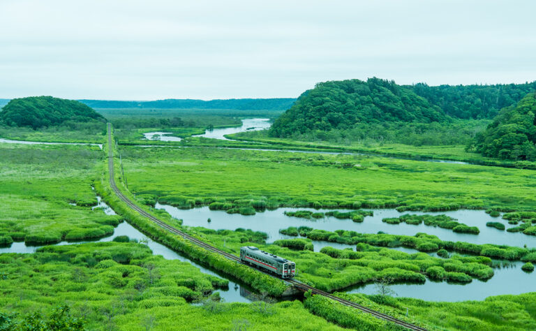 別寒辺牛湿原_花咲線