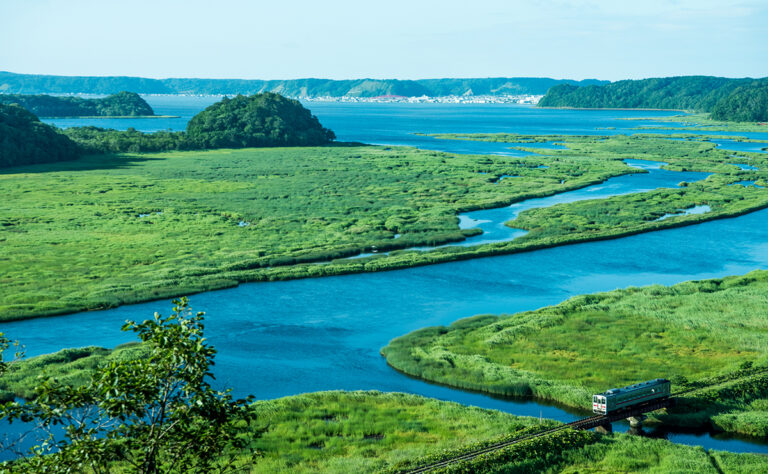 別寒辺牛湿原_花咲線