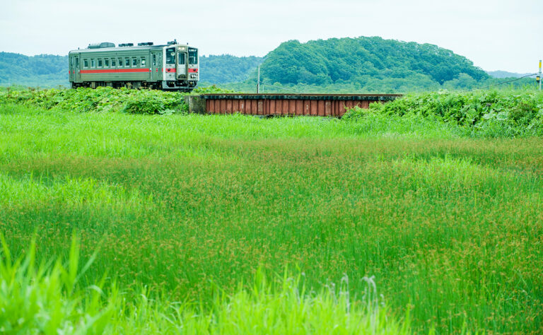 別寒辺牛湿原_花咲線