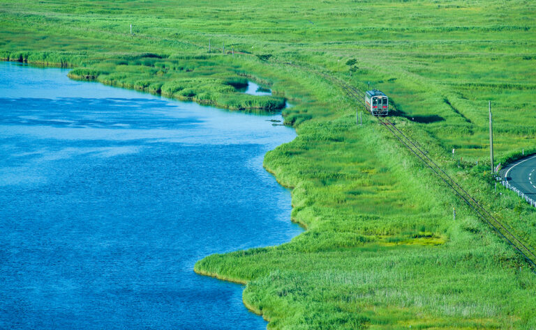 別寒辺牛湿原_花咲線