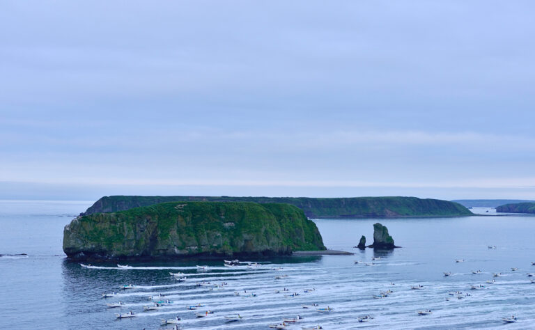 浜中町小島_ 昆布漁の出漁風景