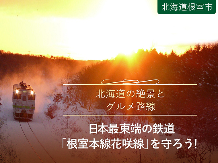 沢山のご支援ありがとうございます！