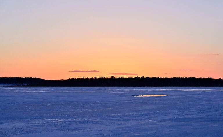 根室市 春国岱の白鳥