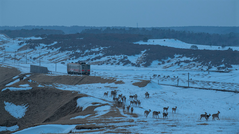 公式Webサイトリニューアル！ & 冬篇動画の公開！