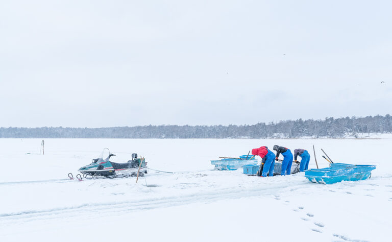 温根沼 氷下待網漁