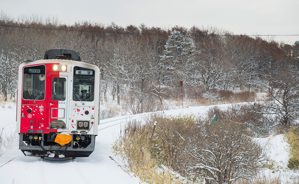 根室市　東根室にて