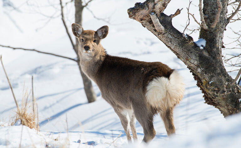根室市　昆布盛駅周辺
