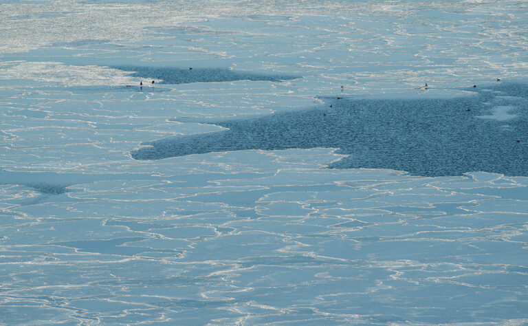 根室市　落石漁港