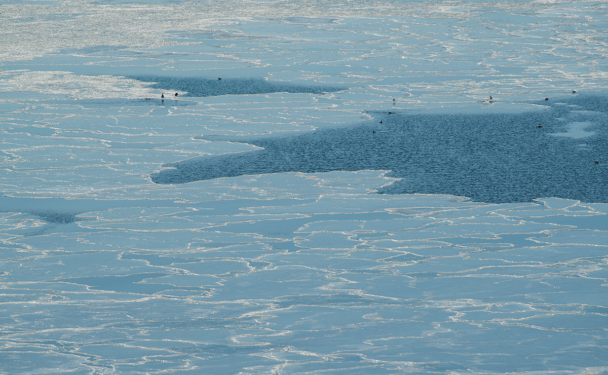根室市　落石漁港