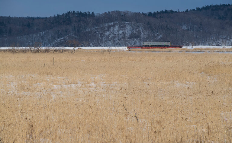 厚岸町　別寒辺牛湿原