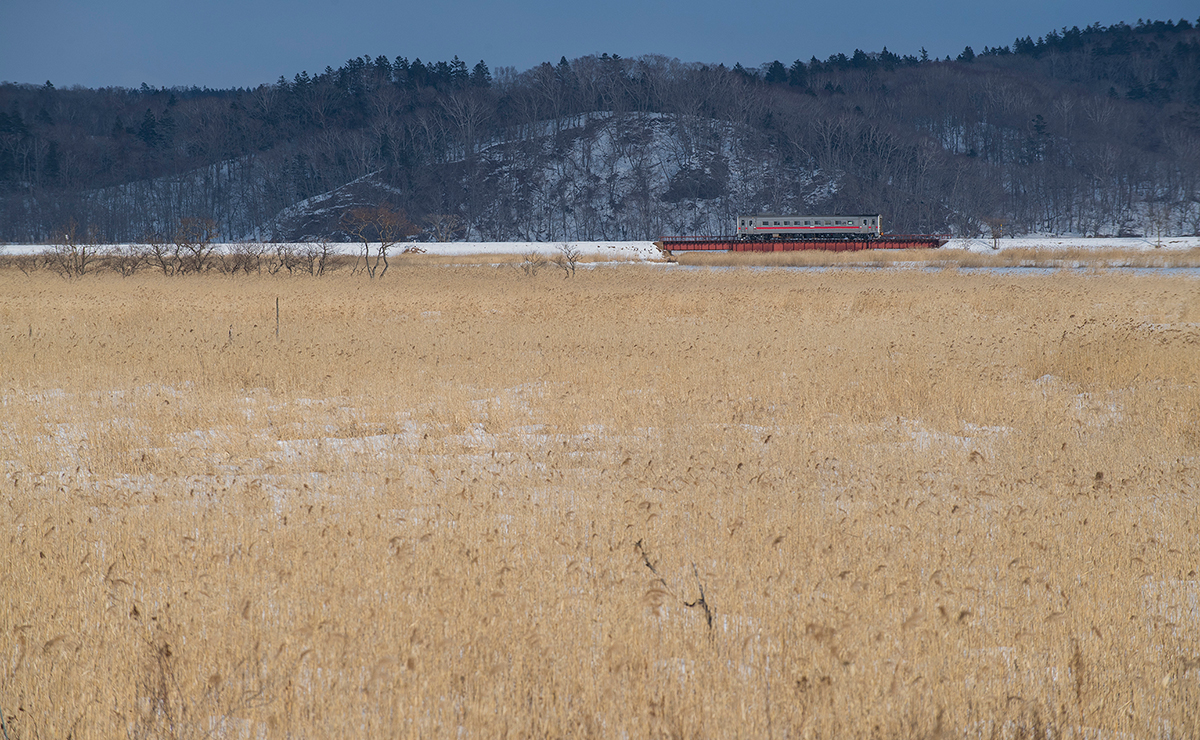 厚岸町　別寒辺牛湿原