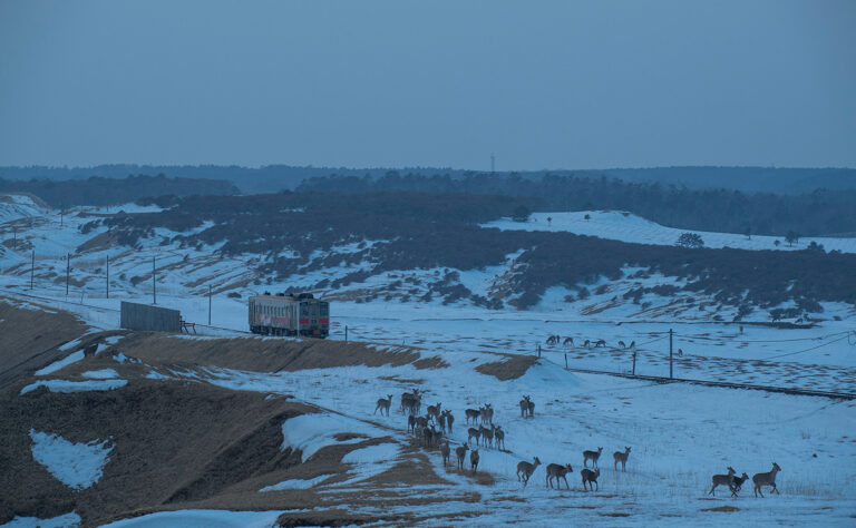 根室市　落石海岸