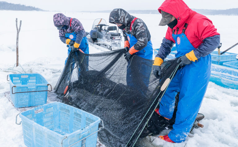 温根沼 氷下待網漁