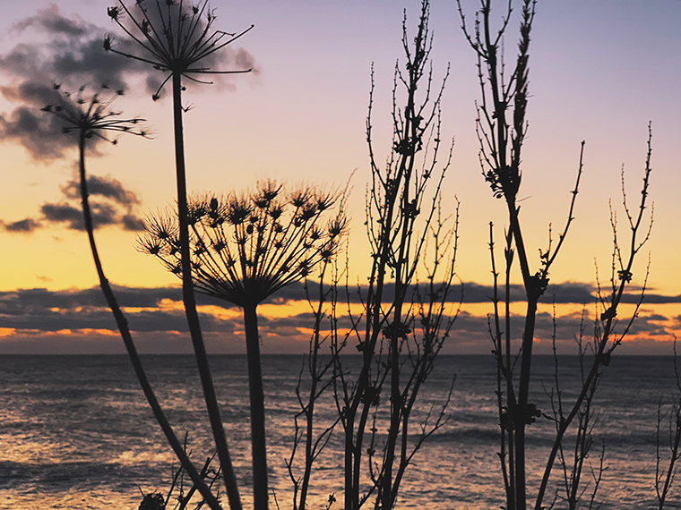 「地球探索クリエーターズ」第一弾実施レポート！ 【後編】