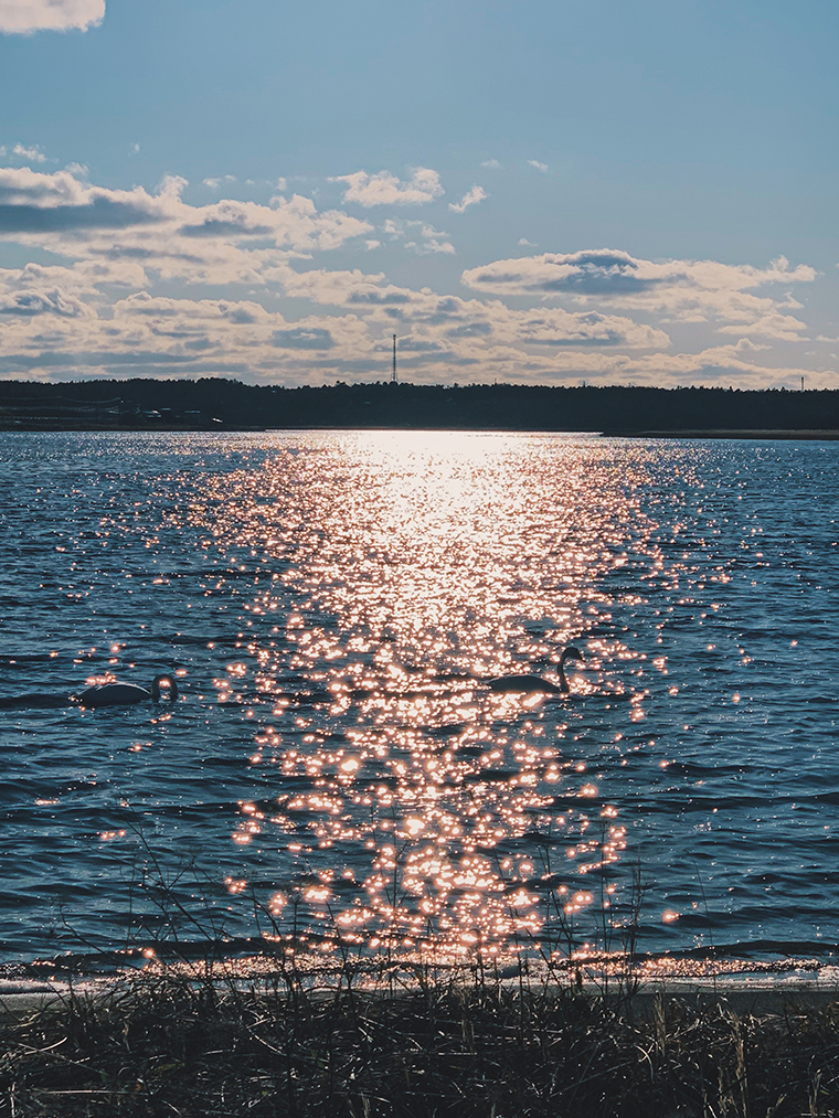 「地球探索クリエーターズ」第一弾実施レポート！ 【後編】