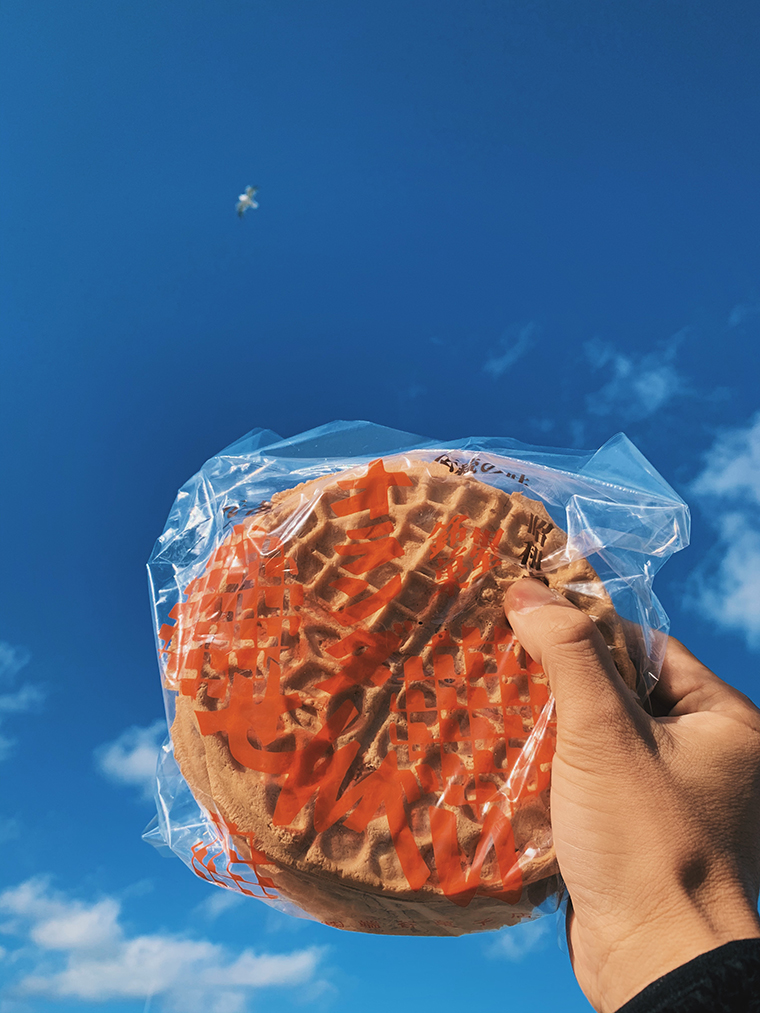 「地球探索クリエーターズ」第一弾実施レポート！ 【後編】