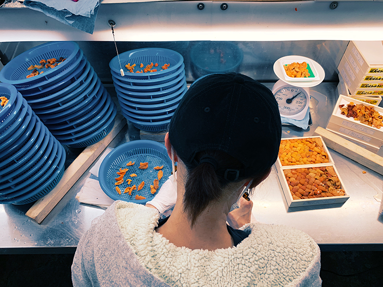 「地球探索クリエーターズ」第一弾実施レポート！ 【後編】