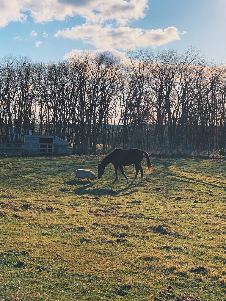 「地球探索クリエーターズ」第一弾実施レポート！ 【後編】