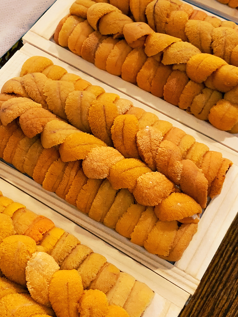 「地球探索クリエーターズ」第一弾実施レポート！ 【後編】