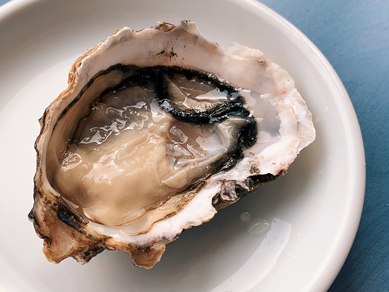 「地球探索クリエーターズ」第一弾実施レポート！ 【前編】