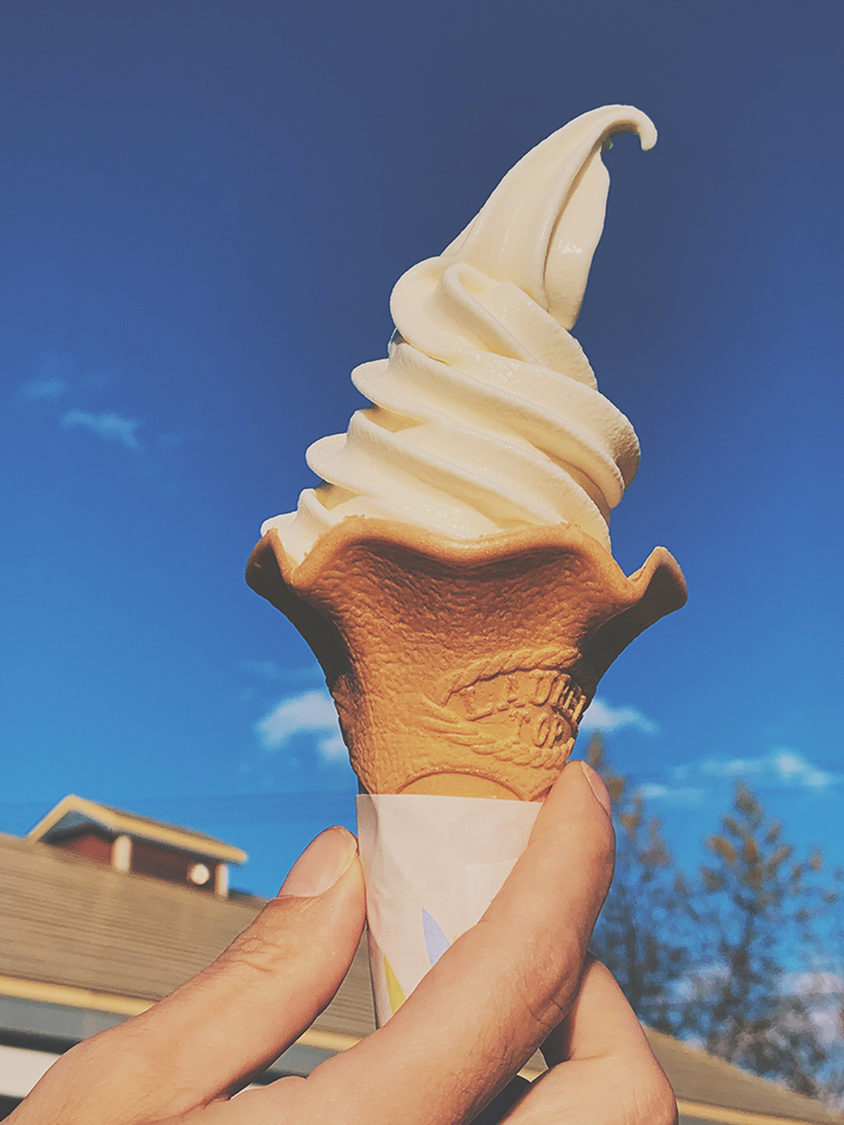 「地球探索クリエーターズ」第一弾実施レポート！ 【後編】