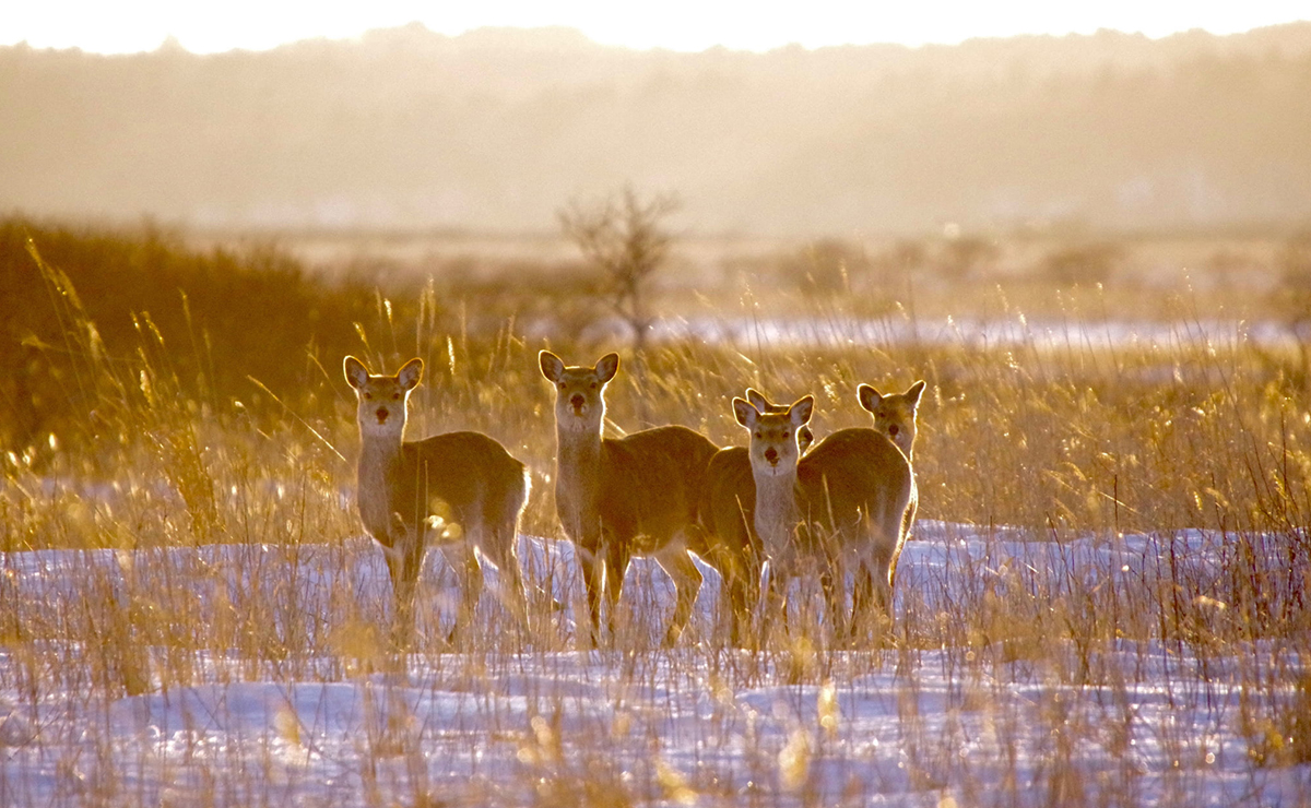 景色と、味と、体験と。冬だけの楽しみを見つけに。