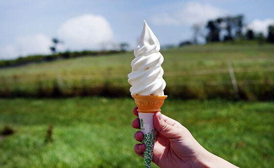 おおともチーズ工房