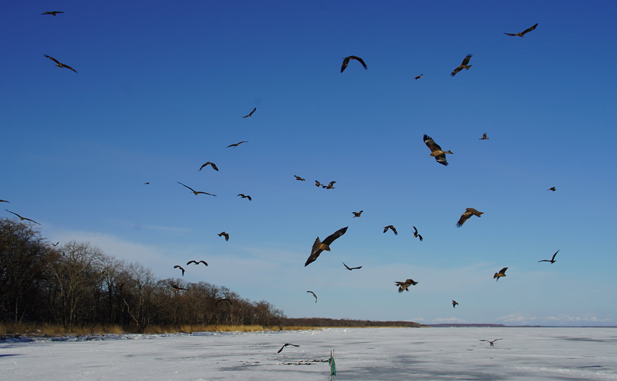 景色と、味と、体験と。冬だけの楽しみを見つけに。