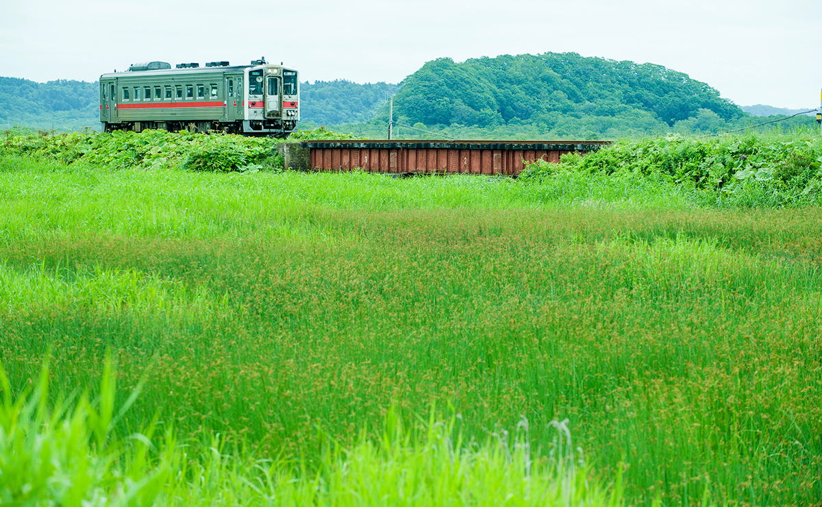 鉄道と自然が織り成す、絶好のフォトスポットへ