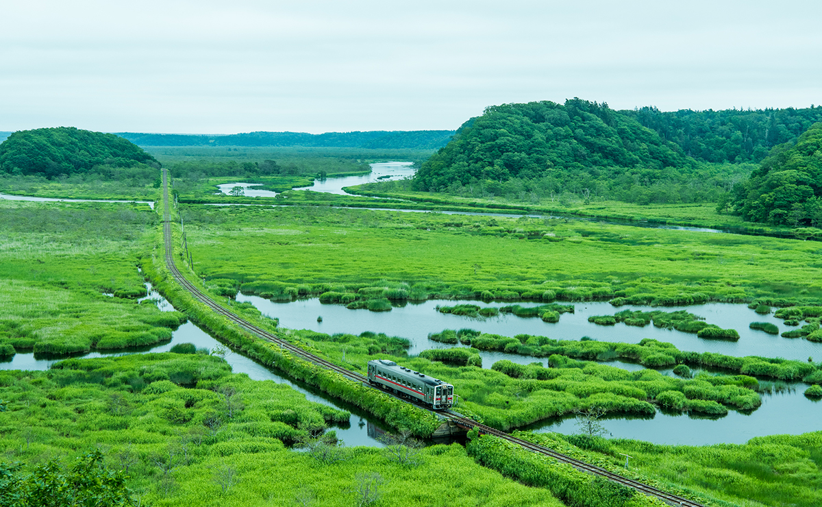 鉄道と自然が織り成す、絶好のフォトスポットへ