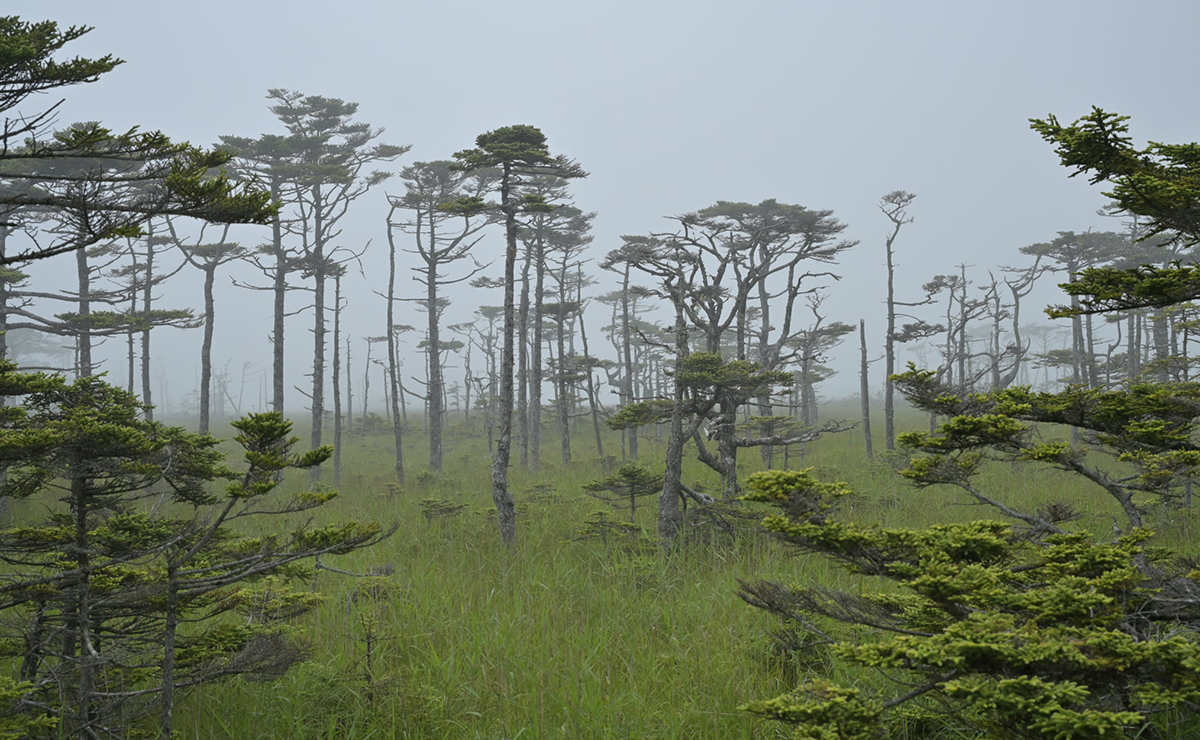 道東の雄大さに触れる。3つの岬を巡って、絶景に出合う旅。